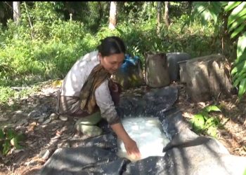 Foto: petani karet di Desa Kebun Sembilan, Kecamatan Sungai Gelam, Kabupaten Muaro Jambi.