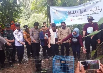 Sekda Sapril saat mengadiri pelepasliaran satwa satwa Peringatan Hari Lahan Basah di TNBS Air Hitam Dalam, Jumat (24/02/2023). [Dok. Gani]