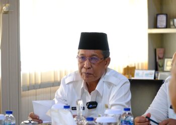 Wakil Gubernur Jambi Abdullah Sani (dok. Humas Kominfo Pemprov Jambi)