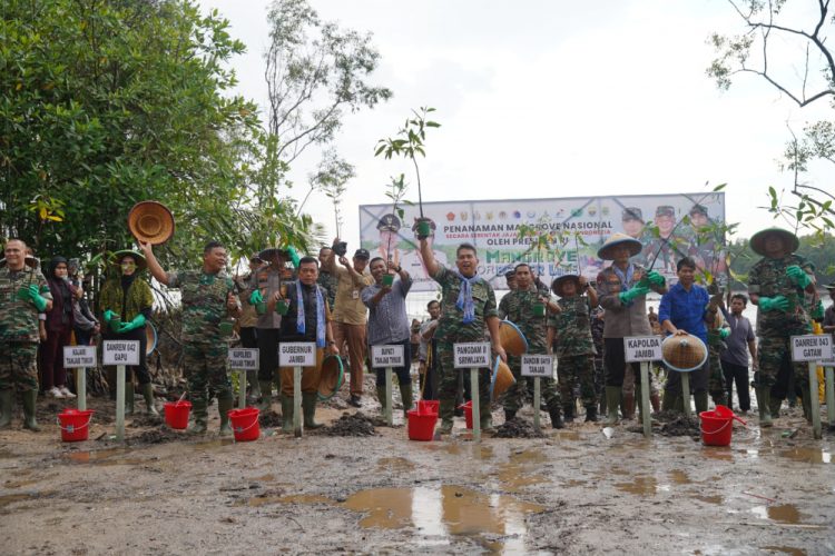 Bupati Tanjab Timur saat melaksanakan penanaman Mangrove bersama Pangdam II Sriwijaya (dok. Humas Kominfo Tanjab Timur)