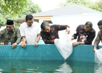 Penyerahan bantuan bibit ikan lele kepada Pokdakan Berlian 79 di RT 39 Kelurahan Thehok,Kota Jambi, Kamis (3/8). (Dok. Firdaus)