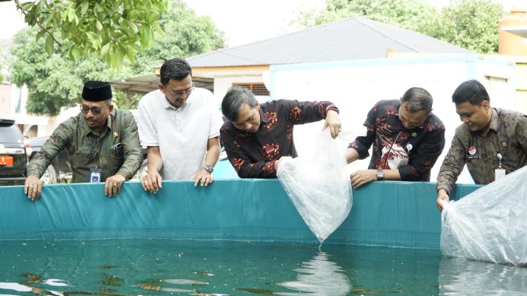 Penyerahan bantuan bibit ikan lele kepada Pokdakan Berlian 79 di RT 39 Kelurahan Thehok,Kota Jambi, Kamis (3/8). (Dok. Firdaus)