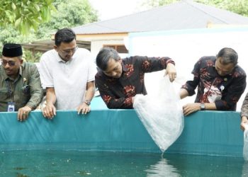 Penyerahan bantuan bibit ikan lele kepada Pokdakan Berlian 79 di RT 39 Kelurahan Thehok,Kota Jambi, Kamis (3/8). (Dok. Firdaus)