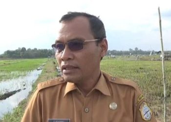 Kepala Dinas Tanaman Pangan dan Hortikultura Pemkab Tanjabtim, Sunarno, (Dok. Ist)