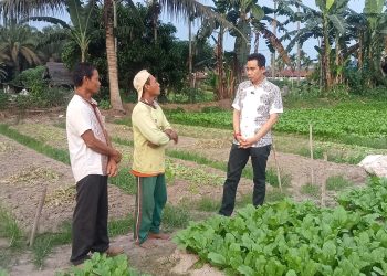 Calon Bupati Muaro Jambi No Urut 2 Zuwanda saat bertemu petani sayur di Desa Talang Kerinci, Kecamatan Sungai Gelam (Dok. Salimbai.id/Deni)