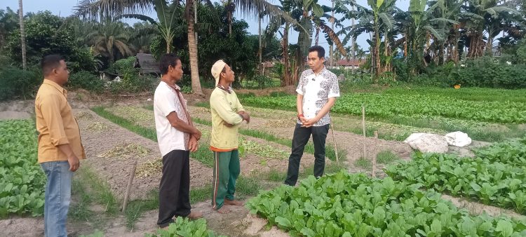 Calon Bupati Muaro Jambi No Urut 2 Zuwanda saat bertemu petani sayur di Desa Talang Kerinci, Kecamatan Sungai Gelam (Dok. Salimbai.id/Deni)